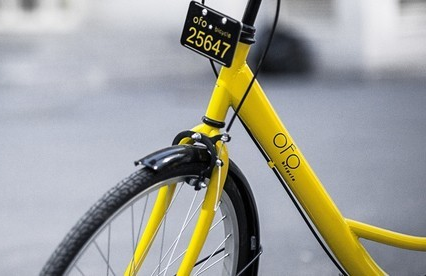 ofo.jpeg