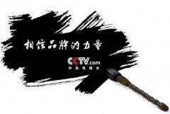 CCTV央视媒体 - 央视 广告投放 的 投放方式 简介