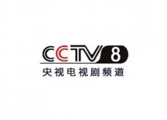 CCTV央视媒体 - CCTV-8佳人剧场 广告 价格是多少？