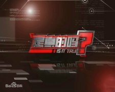 CCTV央视媒体 - CCTV-2《是真的吗？》广告投放 时间 ？效果？