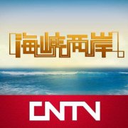 CCTV央视媒体 - 在CCTV-4《海峡两岸》 广告 投放 效果 如何