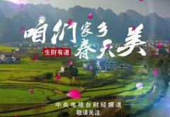 CCTV央视媒体 - CCTV-2《生财有道》 栏目 广告刊例价？