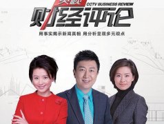 CCTV央视媒体 - CCTV-2《央视财经评论》广告 刊例 价？