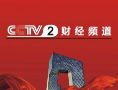 CCTV央视媒体 - CCTV-2 晚间 D时段广告价格贵吗？