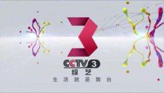 CCTV央视媒体 - CCTV-3 时段 4 广告 投放时间？