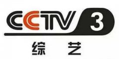 CCTV央视媒体 - 央视三套十点半档栏目插播广告多少钱？