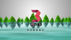 CCTV央视媒体 - 央视三套七点半档 栏目 刊例价？