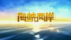 CCTV央视媒体 - CCTV-4《 海峡两岸 》 广告 投放效果