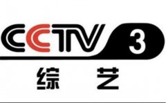 CCTV央视媒体 - 在央视综艺频道时段8 投放广告怎么 样？