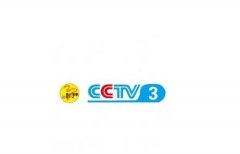 CCTV央视媒体 - CCTV-3上午 九点 档 广告 刊例价？