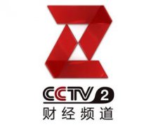 CCTV央视媒体 - CCTV-2财经 频道 2019新年 广告价格 方案