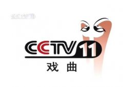 CCTV央视媒体 - CCTV-11 电视 剧第二集贴片广告时间是什么时候？