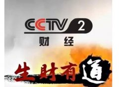 CCTV央视媒体 -  央视 二套财经频道 广告 投放 方案 