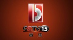 CCTV央视媒体 - CCTV-15 晚上 7点多时段广告价格？