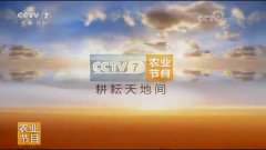 CCTV央视媒体 - CCTV-7上午10点 广告 投放价格是多少？