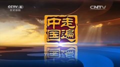 CCTV央视媒体 - CCTV-4《走遍 中国 》投放 广告 了解一下