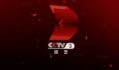 CCTV央视媒体 - CCTV-3综艺频道-广告的价格 最新 资讯