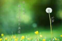 CCTV央视媒体 -  央视一套 《今日说法》后投放营销 广告 多 少钱