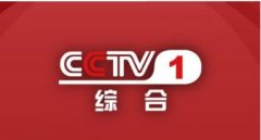 CCTV央视媒体 - 在央视 一套 投放 广告 多 少钱 ？9点多这个时段