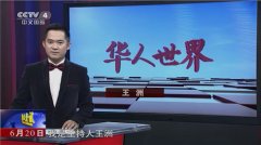 CCTV央视媒体 - CCTV4《华人世界》 广告价格 多少？