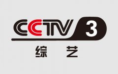 CCTV央视媒体 - CCTV3的 黄金 时间投放 广告 标准费用