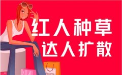 小红书 - 小红书种草究竟有何魔力令无数商家竞折腰