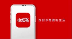 小红书 - 小红书种草App的 成功 逻辑 是什么 ?