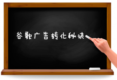 谷歌google推广 - 无锡google代 理人 传授广告转化秘诀