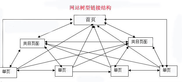 网站结构