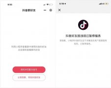 营销资讯 - 微信上线「抖音 好友 」小程序又秒速下架？这是