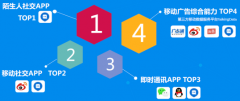 营销资讯 -  为什么广告 主会选择陌陌 信息流广告 ？