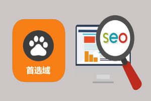 网站建设 - 什么是首选域，如何设置首选域， 有利于 SEO？