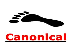 网站建设 - Canonical 标签 是 什么 ，它在SEO的应用！