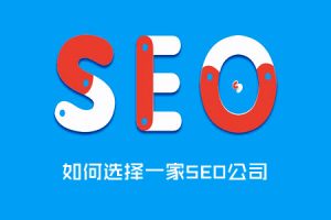 网站建设 -  如何 选择SEO 公司 ，聘请 网络推广公司 的注意