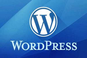 网站建设 - 如何选择 wordpress 主机空间，有利于SEO？