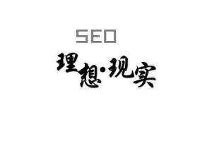 网站建设 - SEO 经验分享 ：理想与现实！