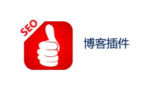 网站建设 - 个人博客 网站制作 之SEO插件 开发 注意事项！