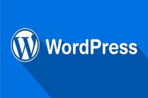 网站建设 - WordPress 博客配置, 常犯的几个错误!