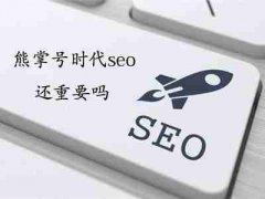 网站建设 - 如果是新网站想加快SEO 收录 要 怎么 做