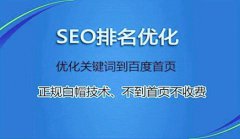 网站建设 - 深圳 网络优化 找谁？关键字 优化 和 网站优化 