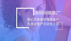 网站建设 - 深圳 网络推广 外包公司哪家好SEO-网站 优化 -SEO 优