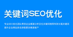 网站建设 - 网站整站优化和关键词优化有什么不同