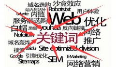 网站建设 -  搜索 引擎 优化 关键字 排名 的配对机理