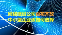 网站建设 -  网络建设 公司百花齐放，中小型企业该如何选择