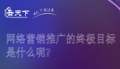 网站建设 - 网络 营销推广 的终极 目标 是什么呢?