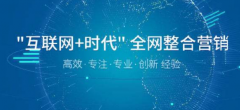 网站建设 -  全网营销怎么 做才有效果呢?