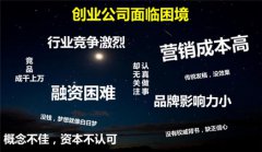 网站建设 - 初创 公司怎样 以最少的成本费做网络营销 推广 呢