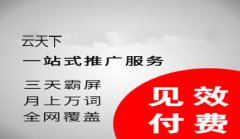 网站建设 -  互联网网络推广 到底该怎样去做