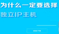 网站建设 -  企业网站 建设为什么需要独立的IP 服务 器呢?