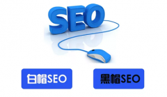 网站建设 - 【SEO 优化 】什么是 白帽 什么是黑帽